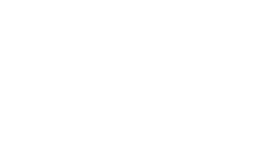 Genesis White logo